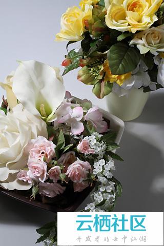 佳能7D相机测评自动白平衡教程