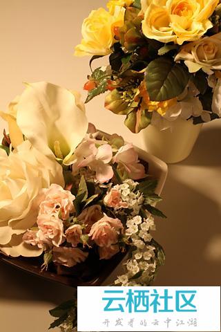 佳能7D相机测评自动白平衡教程